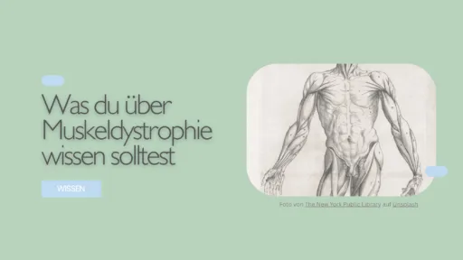 Was ist eine Muskeldystrophie?